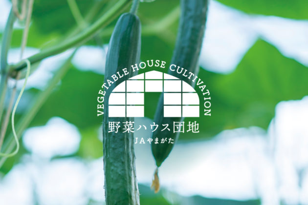 野菜ハウス団地　きゅうり